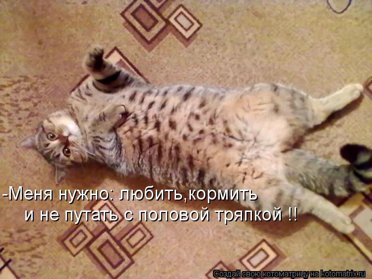 -Меня нужно: любить,кормить и не путать с половой тряпкой !!... Котоматрица: -Меня нужно: любить,кормить и не путать с половой тряпкой !!