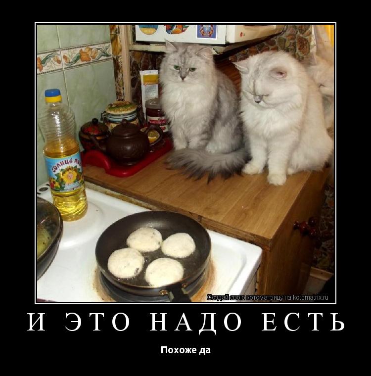 И это надо есть Похоже да... Котоматрица: И это надо есть Похоже да