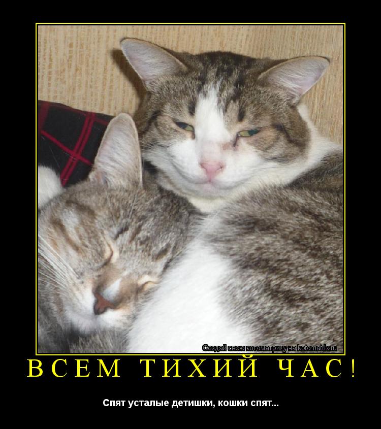 Всем тихий час! Спят усталые детишки, кошки спят...... Котоматрица: Всем тихий час! Спят усталые детишки, кошки спят...