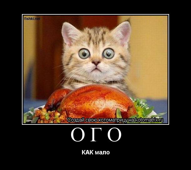 ОГО КАК мало... Котоматрица: ОГО КАК мало