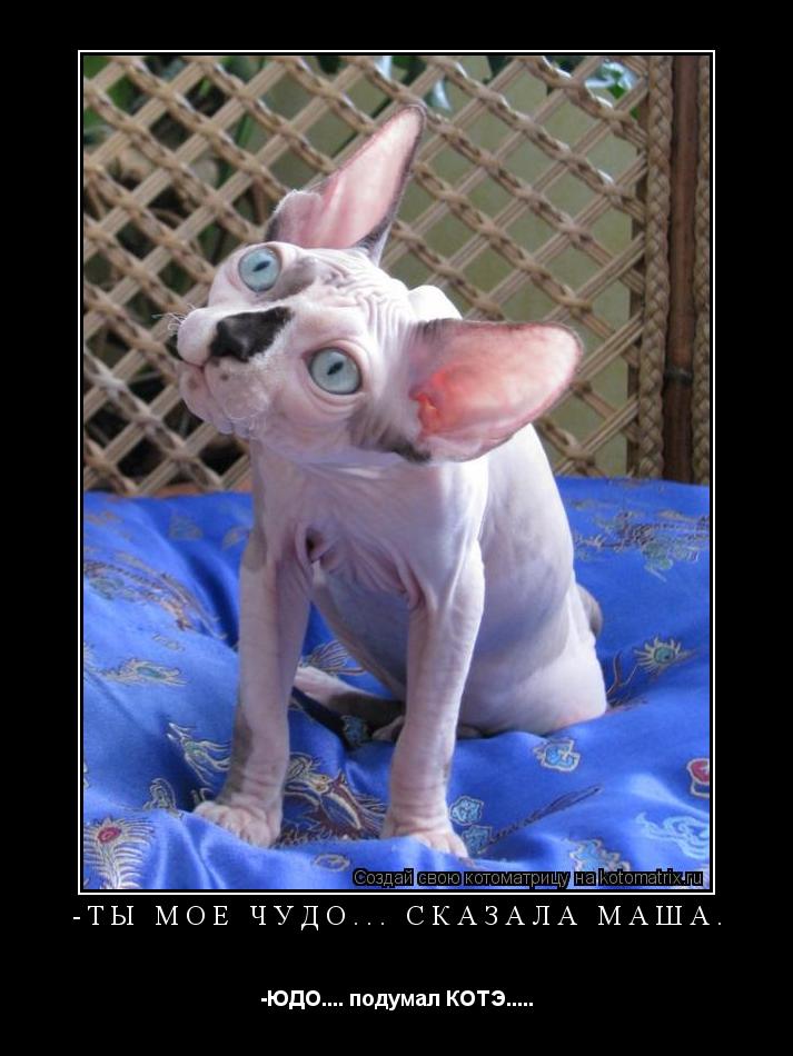 -Ты моё чудо... сказала Маша. -ЮДО.... подумал КОТЭ........ Котоматрица: -Ты моё чудо... сказала Маша. -ЮДО.... подумал КОТЭ.....