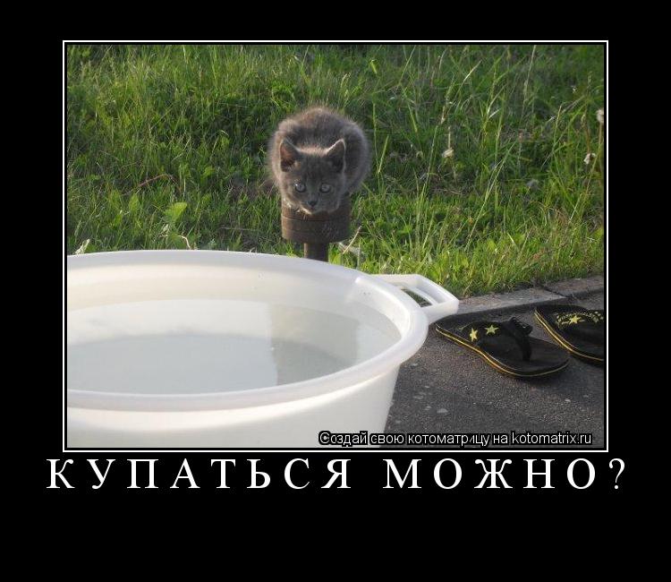 Купаться можно? ... Котоматрица: Купаться можно?