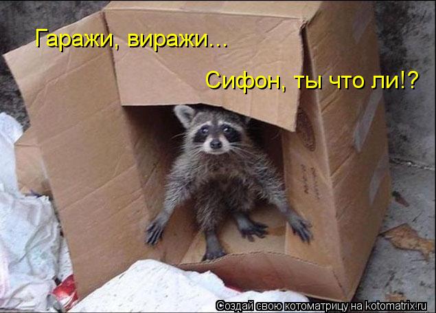 Гаражи, виражи... Сифон, ты что ли!?... Котоматрица: Гаражи, виражи... Сифон, ты что ли!?