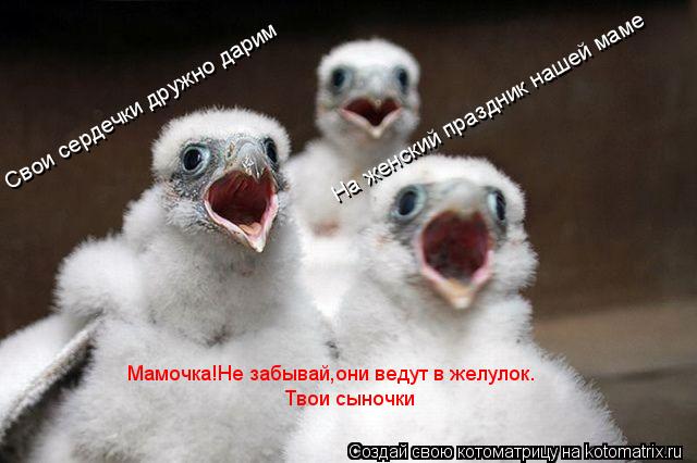 Свои сердечки дружно дарим На женский праздник нашей маме Мамочка!Не забывай,они ведут в желулок. Тво... Котоматрица: Свои сердечки дружно дарим На женский праздник нашей маме Мамочка!Не забывай,они ведут в желулок. Твои сыночки