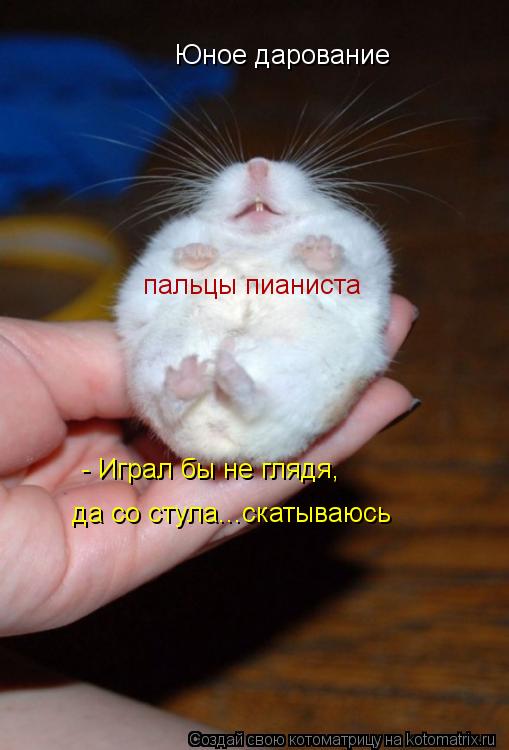 Юное дарование пальцы пианиста - Играл бы не глядя, да со стула...скатываюсь... Котоматрица: Юное дарование пальцы пианиста - Играл бы не глядя, да со стула...скатываюсь