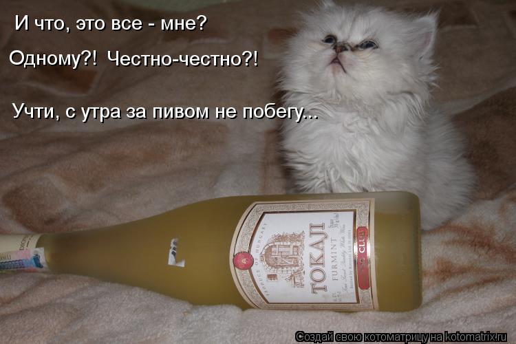 И что, это все - мне? Одному?! Честно-честно?! Учти, с утра за пивом не побегу...... Котоматрица: И что, это все - мне? Одному?! Честно-честно?! Учти, с утра за пивом не побегу...