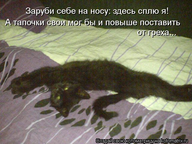 Заруби себе на носу: здесь сплю я! А тапочки свои мог бы и повыше поставить от греха...... Котоматрица: Заруби себе на носу: здесь сплю я! А тапочки свои мог бы и повыше поставить от греха...