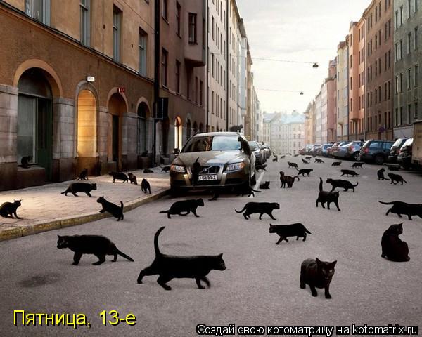 Пятница, 13-е... Котоматрица: Пятница, 13-е
