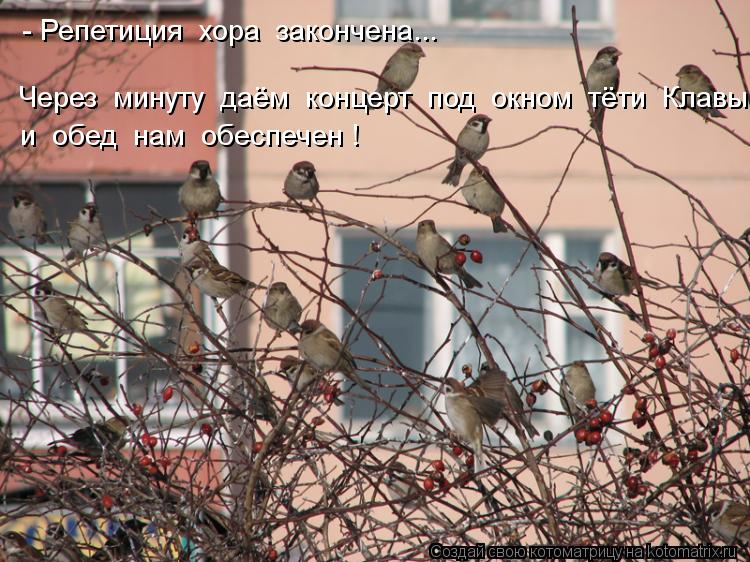 - Репетиция хора закончена... Через минуту даём концерт под окном тёти Клавы, и обед нам... Котоматрица: - Репетиция хора закончена... Через минуту даём концерт под окном тёти Клавы, и обед нам обеспечен !