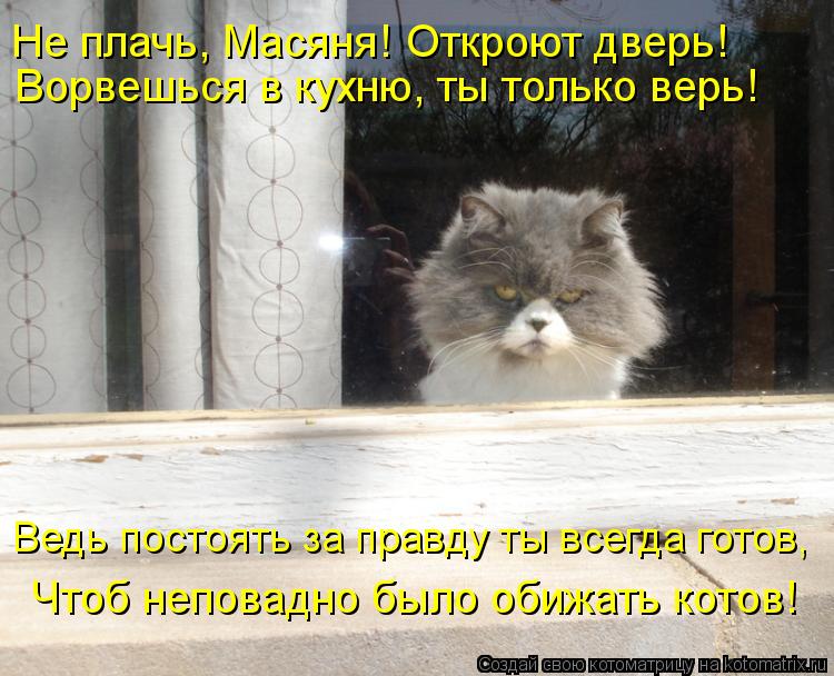 Ворвешься в кухню, ты только верь! Чтоб неповадно было обижать котов! Ведь постоять за правду ты всег... Котоматрица: Ворвешься в кухню, ты только верь! Чтоб неповадно было обижать котов! Ведь постоять за правду ты всегда готов, Не плачь, Масяня! Откроют двер