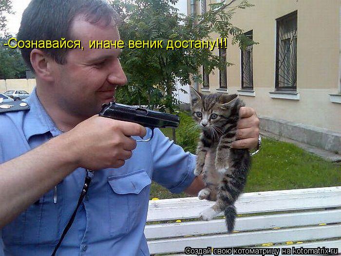 -Сознавайся, иначе веник достану!!!... Котоматрица: -Сознавайся, иначе веник достану!!!