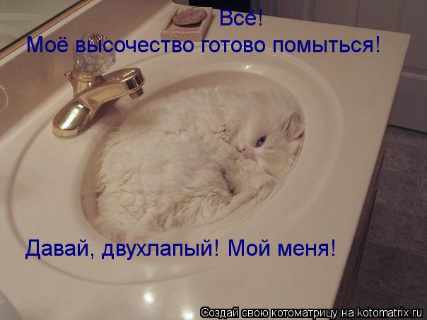 Всё! Моё высочество готово помыться! Давай, двухлапый! Мой меня!... Котоматрица: Всё! Моё высочество готово помыться! Давай, двухлапый! Мой меня!