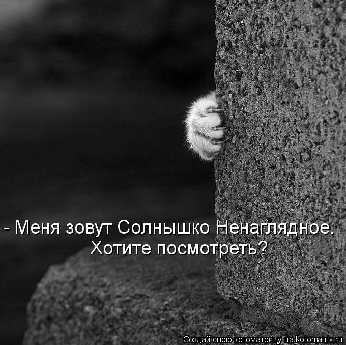 Хотите посмотреть? - Меня зовут Солнышко Ненаглядное.... Котоматрица: Хотите посмотреть? - Меня зовут Солнышко Ненаглядное.