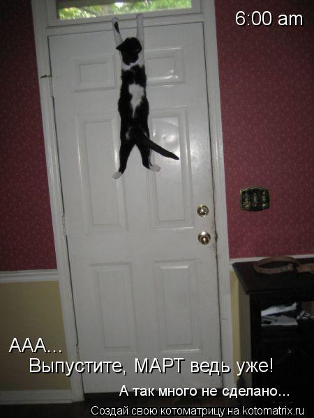 6:00 am AAA... Выпустите, МАРТ ведь уже! А так много не сделано...... Котоматрица: 6:00 am AAA... Выпустите, МАРТ ведь уже! А так много не сделано...