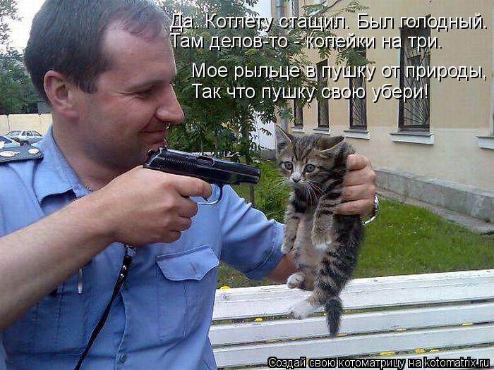 Да. Котлету стащил. Был голодный. Там делов-то - копейки на три. Мое рыльце в пушку от природы, Так ч... Котоматрица: Да. Котлету стащил. Был голодный. Там делов-то - копейки на три. Мое рыльце в пушку от природы, Так что пушку свою убери!