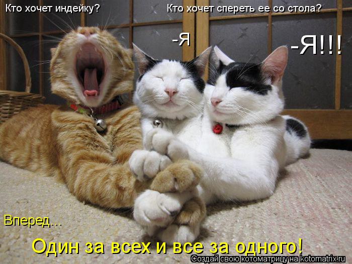 -Я -Я!!! Один за всех и все за одного! Кто хочет индейку? Кто хочет спереть ее с... Котоматрица: -Я -Я!!! Один за всех и все за одного! Кто хочет индейку? Кто хочет спереть ее со стола? Вперед...