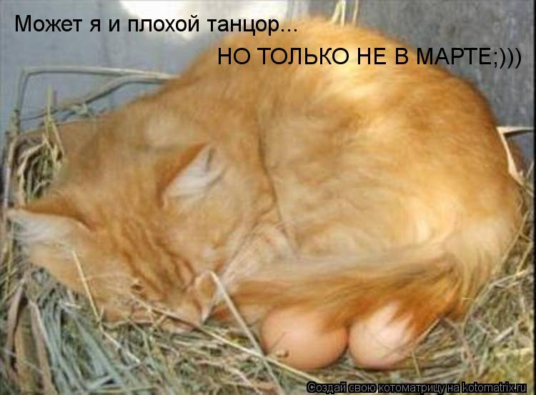 Может я и плохой танцор... НО ТОЛЬКО НЕ В МАРТЕ;)))... Котоматрица: Может я и плохой танцор... НО ТОЛЬКО НЕ В МАРТЕ;)))