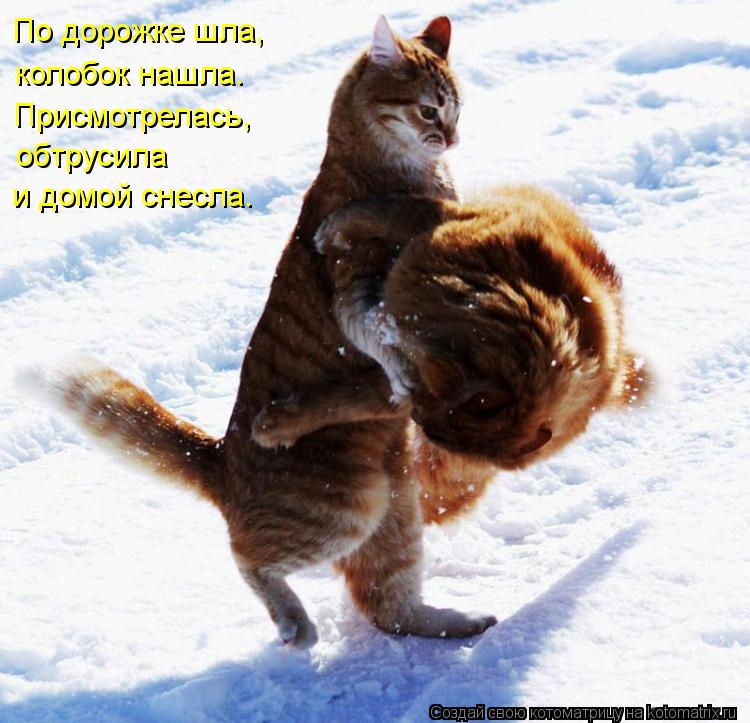 По дорожке шла, колобок нашла. Присмотрелась, обтрусила и домой снесла.... Котоматрица: По дорожке шла, колобок нашла. Присмотрелась, обтрусила и домой снесла.