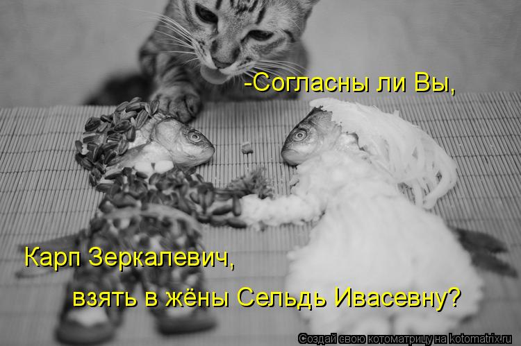 -Согласны ли Вы, Карп Зеркалевич, взять в жёны Сельдь Ивасевну?... Котоматрица: -Согласны ли Вы, Карп Зеркалевич, взять в жёны Сельдь Ивасевну?