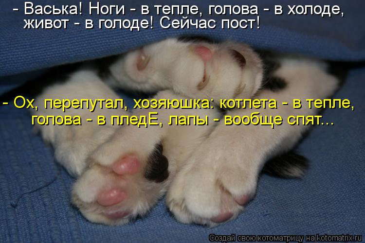 - Васька! Ноги - в тепле, голова - в холоде, живот - в голоде! Сейчас пост! - Ох, перепутал, хозяюшка... Котоматрица: - Васька! Ноги - в тепле, голова - в холоде, живот - в голоде! Сейчас пост! - Ох, перепутал, хозяюшка: котлета - в тепле, голова - в пледЕ, лапы - воо