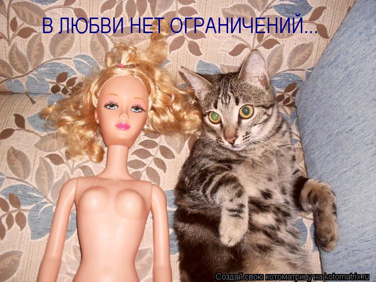 В ЛЮБВИ НЕТ ОГРАНИЧЕНИЙ...... Котоматрица: В ЛЮБВИ НЕТ ОГРАНИЧЕНИЙ...