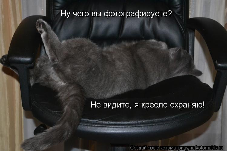 Ну чего вы фотографируете? Не видите, я кресло охраняю!... Котоматрица: Ну чего вы фотографируете? Не видите, я кресло охраняю!