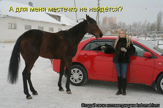 А для меня местечко не найдётся?... Котоматрица: А для меня местечко не найдётся?