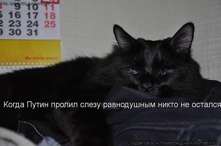 Когда Путин пролил слезу равнодушным никто не остался... Котоматрица: Когда Путин пролил слезу равнодушным никто не остался