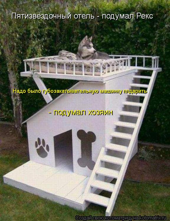 - подумал хозяин Пятизвездочный отель - подумал Рекс Надо было губозакатывательную машинку плдарить... Котоматрица: - подумал хозяин Пятизвездочный отель - подумал Рекс Надо было губозакатывательную машинку плдарить