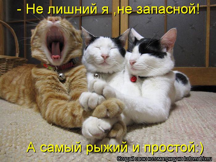 - Не лишний я ,не запасной! А самый рыжий и простой:)... Котоматрица: - Не лишний я ,не запасной! А самый рыжий и простой:)