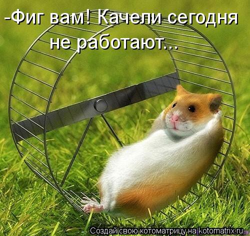-Фиг вам! Качели сегодня не работают...... Котоматрица: -Фиг вам! Качели сегодня не работают...
