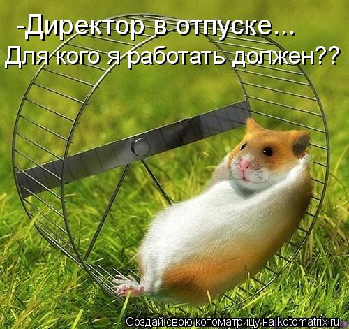 -Директор в отпуске... Для кого я работать должен??... Котоматрица: -Директор в отпуске... Для кого я работать должен??