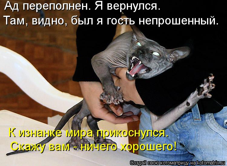Ад переполнен. Я вернулся. Там, видно, был я гость непрошенный. К изнанке мира прикоснулся. Скажу ... Котоматрица: Ад переполнен. Я вернулся. Там, видно, был я гость непрошенный. К изнанке мира прикоснулся. Скажу вам - ничего хорошего!