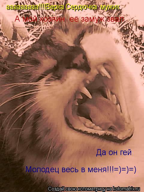 ааааааааа!!!!Верка Сердючка мужик А мой хозяин её замуж звал Да он гей Молодец весь в меня!!!=)=)=)... Котоматрица: ааааааааа!!!!Верка Сердючка мужик А мой хозяин её замуж звал Да он гей Молодец весь в меня!!!=)=)=)