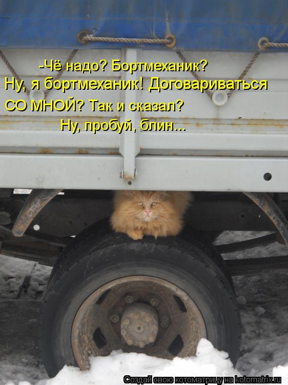 Ну, я бортмеханик! Договариваться СО МНОЙ? Так и сказал? -Чё надо? Бортмеханик? Ну, пробуй, блин...... Котоматрица: Ну, я бортмеханик! Договариваться СО МНОЙ? Так и сказал? -Чё надо? Бортмеханик? Ну, пробуй, блин...
