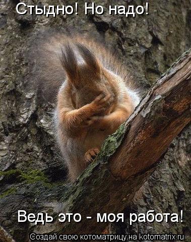 Стыдно! Но надо! Ведь это - моя работа!... Котоматрица: Стыдно! Но надо! Ведь это - моя работа!
