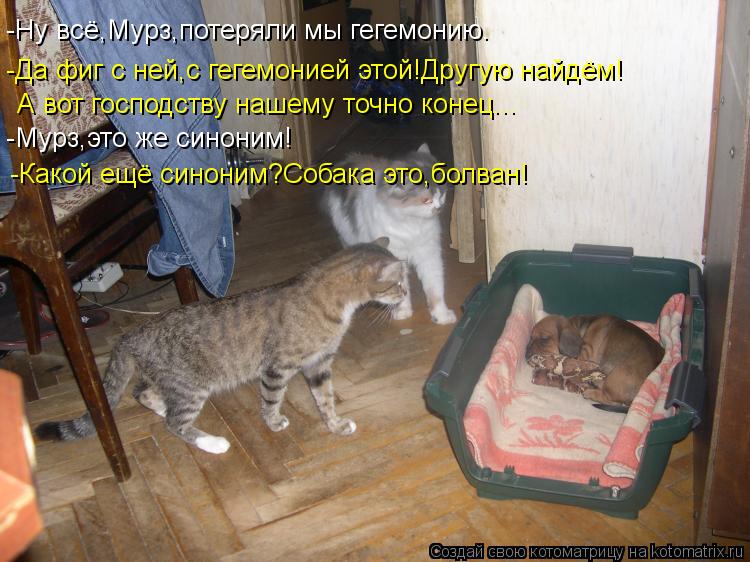 -Ну всё,Мурз,потеряли мы гегемонию. -Да фиг с ней,с гегемонией этой!Другую найдём! А вот господству н... Котоматрица: -Ну всё,Мурз,потеряли мы гегемонию. -Да фиг с ней,с гегемонией этой!Другую найдём! А вот господству нашему точно конец... -Мурз,это же синоним! -
