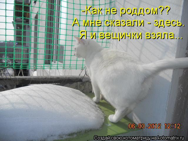 -Как не роддом?? А мне сказали - здесь. Я и вещички взяла...... Котоматрица: -Как не роддом?? А мне сказали - здесь. Я и вещички взяла...