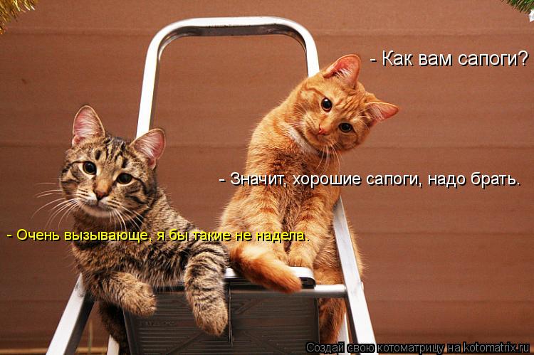 - Как вам сапоги? - Очень вызывающе, я бы такие не надела. - Значит, хорошие сапоги, надо брать.... Котоматрица: - Как вам сапоги? - Очень вызывающе, я бы такие не надела. - Значит, хорошие сапоги, надо брать.
