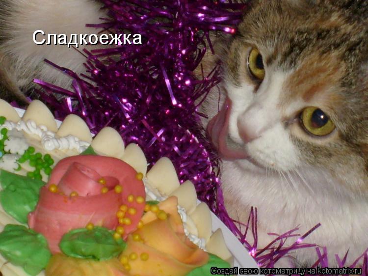 Сладкоежка... Котоматрица: Сладкоежка