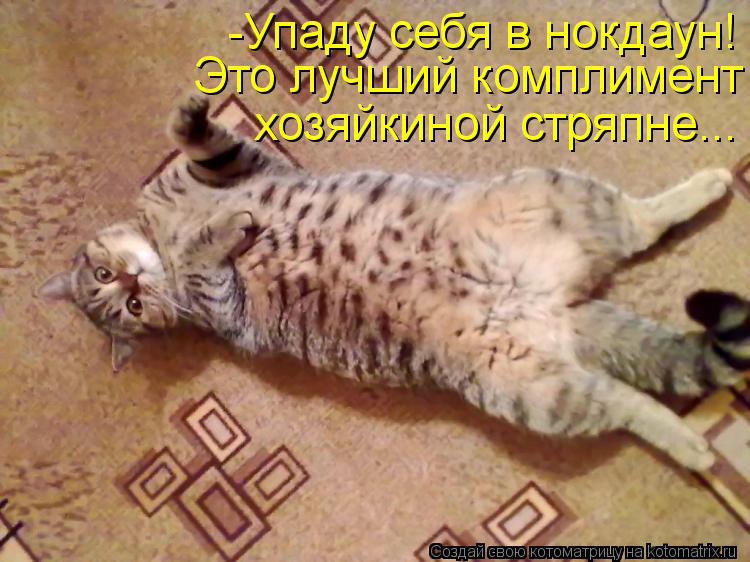 -Упаду себя в нокдаун! Это лучший комплимент хозяйкиной стряпне...... Котоматрица: -Упаду себя в нокдаун! Это лучший комплимент хозяйкиной стряпне...