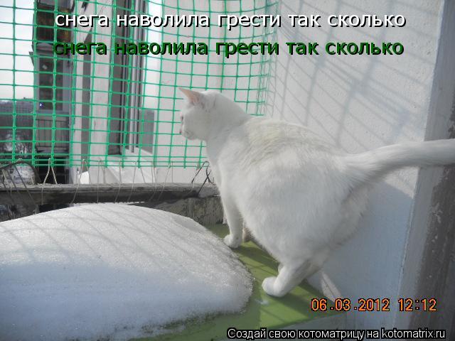 снега наволила грести так сколько снега наволила грести так сколько... Котоматрица: снега наволила грести так сколько снега наволила грести так сколько