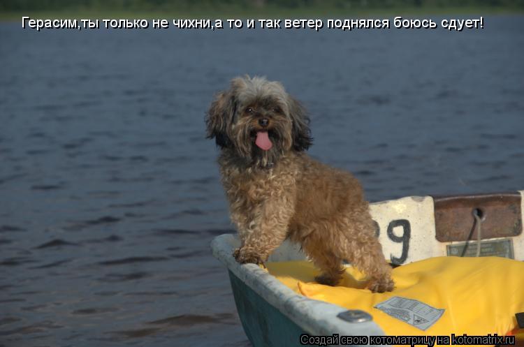 Герасим,ты только не чихни,а то и так ветер поднялся боюсь сдует!... Котоматрица: Герасим,ты только не чихни,а то и так ветер поднялся боюсь сдует!