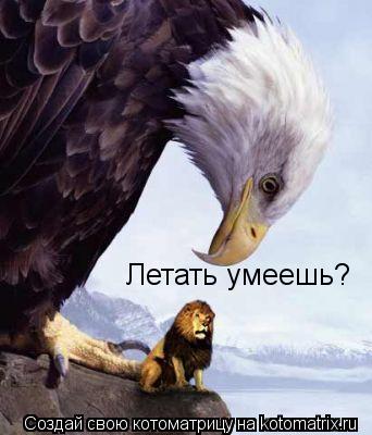 Летать умеешь?... Котоматрица: Летать умеешь?