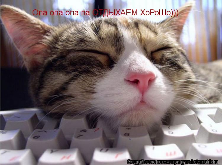 Опа опа опа па ОТДЫХАЕМ ХоРоШо)))... Котоматрица: Опа опа опа па ОТДЫХАЕМ ХоРоШо)))
