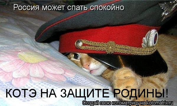 Россия может спать спокойно КОТЭ НА ЗАЩИТЕ РОДИНЫ!... Котоматрица: Россия может спать спокойно КОТЭ НА ЗАЩИТЕ РОДИНЫ!