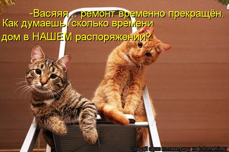 -Васяяя... ремонт временно прекращён. Как думаешь, сколько времени дом в НАШЕМ распоряжении?... Котоматрица: -Васяяя... ремонт временно прекращён. Как думаешь, сколько времени дом в НАШЕМ распоряжении?