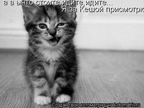 а в ычто стоите идите,идите... Я за Кешой присмотрю... Котоматрица: а в ычто стоите идите,идите... Я за Кешой присмотрю
