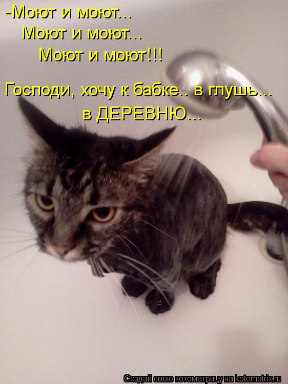 -Моют и моют... Моют и моют... Моют и моют!!! Господи, хочу к бабке.. в глушь... в ДЕРЕВНЮ...... Котоматрица: -Моют и моют... Моют и моют... Моют и моют!!! Господи, хочу к бабке.. в глушь... в ДЕРЕВНЮ...