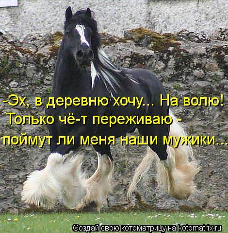 -Эх, в деревню хочу... На волю! Только чё-т переживаю - поймут ли меня наши мужики...... Котоматрица: -Эх, в деревню хочу... На волю! Только чё-т переживаю - поймут ли меня наши мужики...